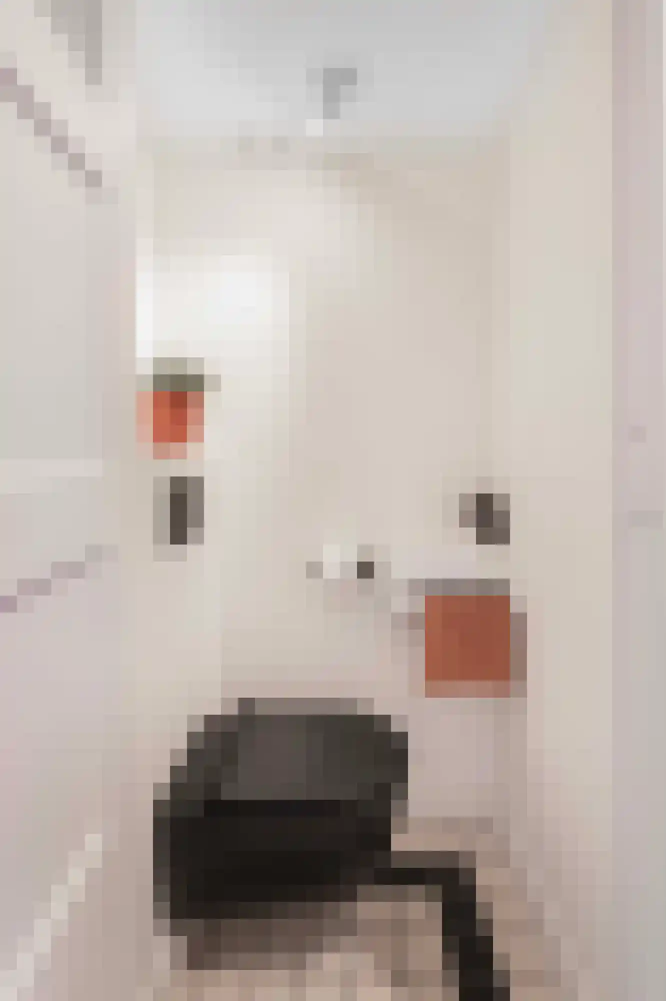 Hooft Graaflandstraat 69 Utrecht thumbnail 6