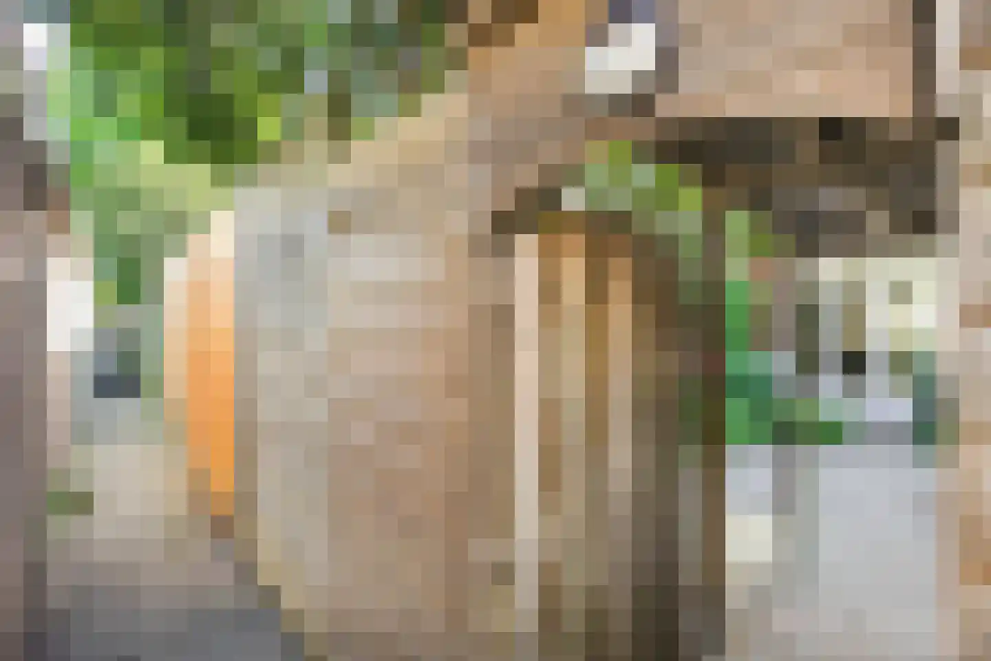 Hooft Graaflandstraat 71 Utrecht thumbnail 25