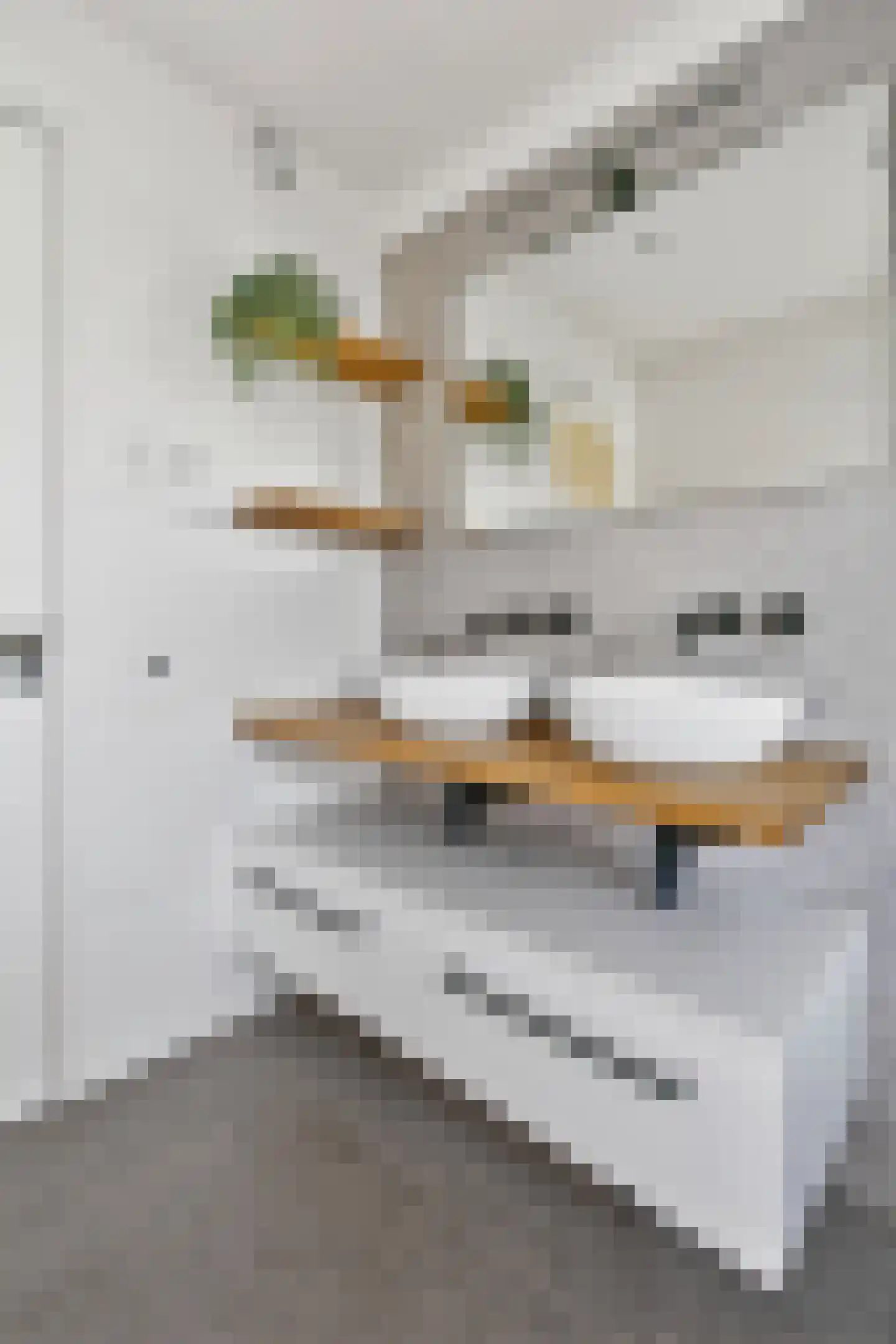Hooft Graaflandstraat 71 Utrecht thumbnail 32