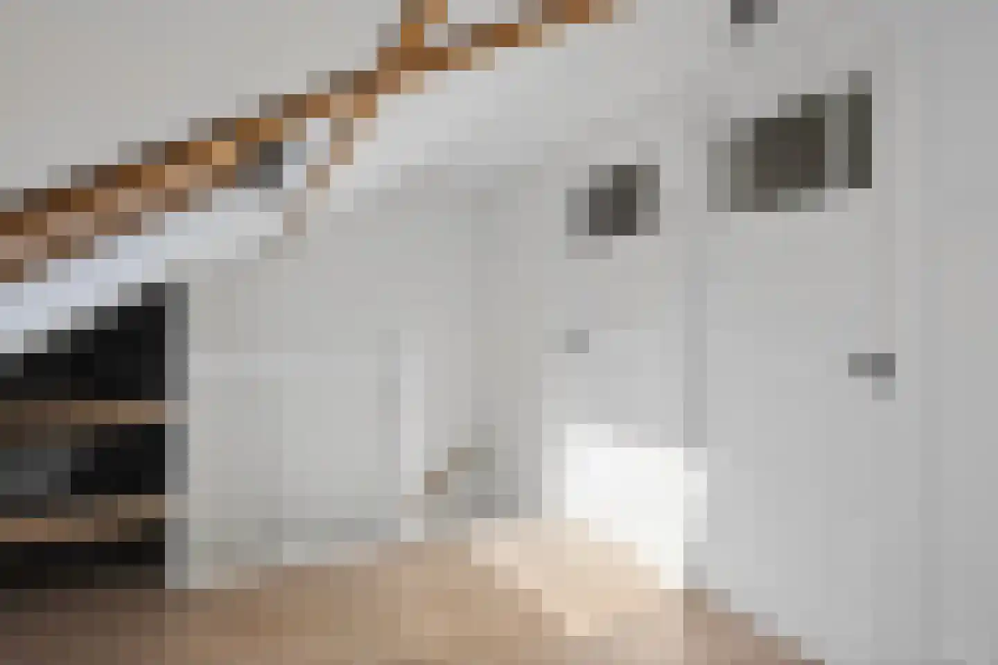 Hooft Graaflandstraat 71 Utrecht thumbnail 43