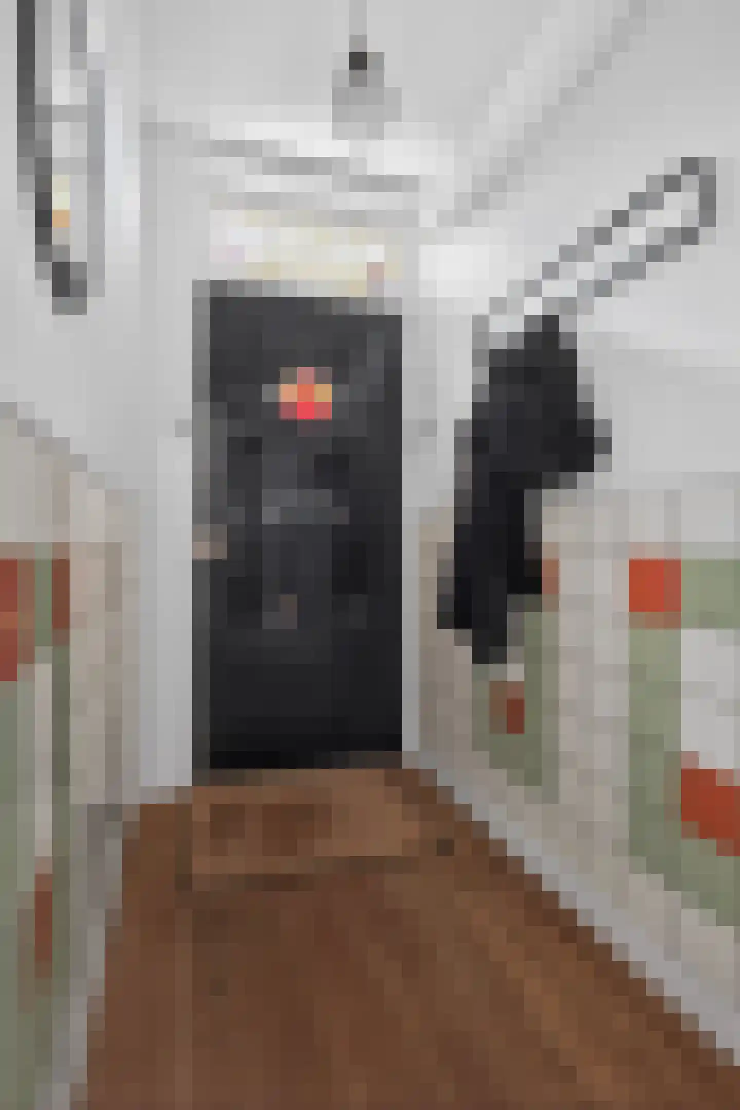 Hooft Graaflandstraat 71 Utrecht thumbnail 9