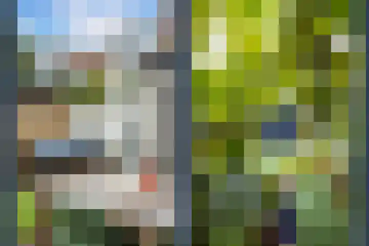 Hooft Graaflandstraat 81 Utrecht thumbnail 51