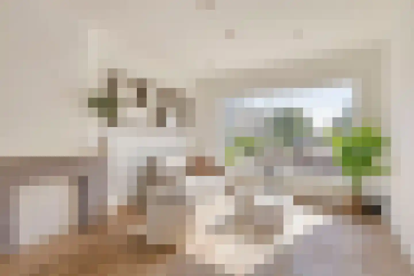Hooft Hasselaarstraat 3 Purmerend thumbnail 12
