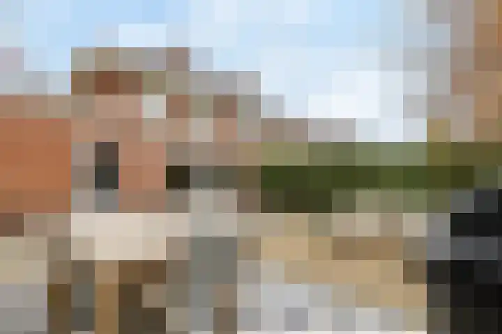 Hooftlaan 22 Bussum thumbnail 37
