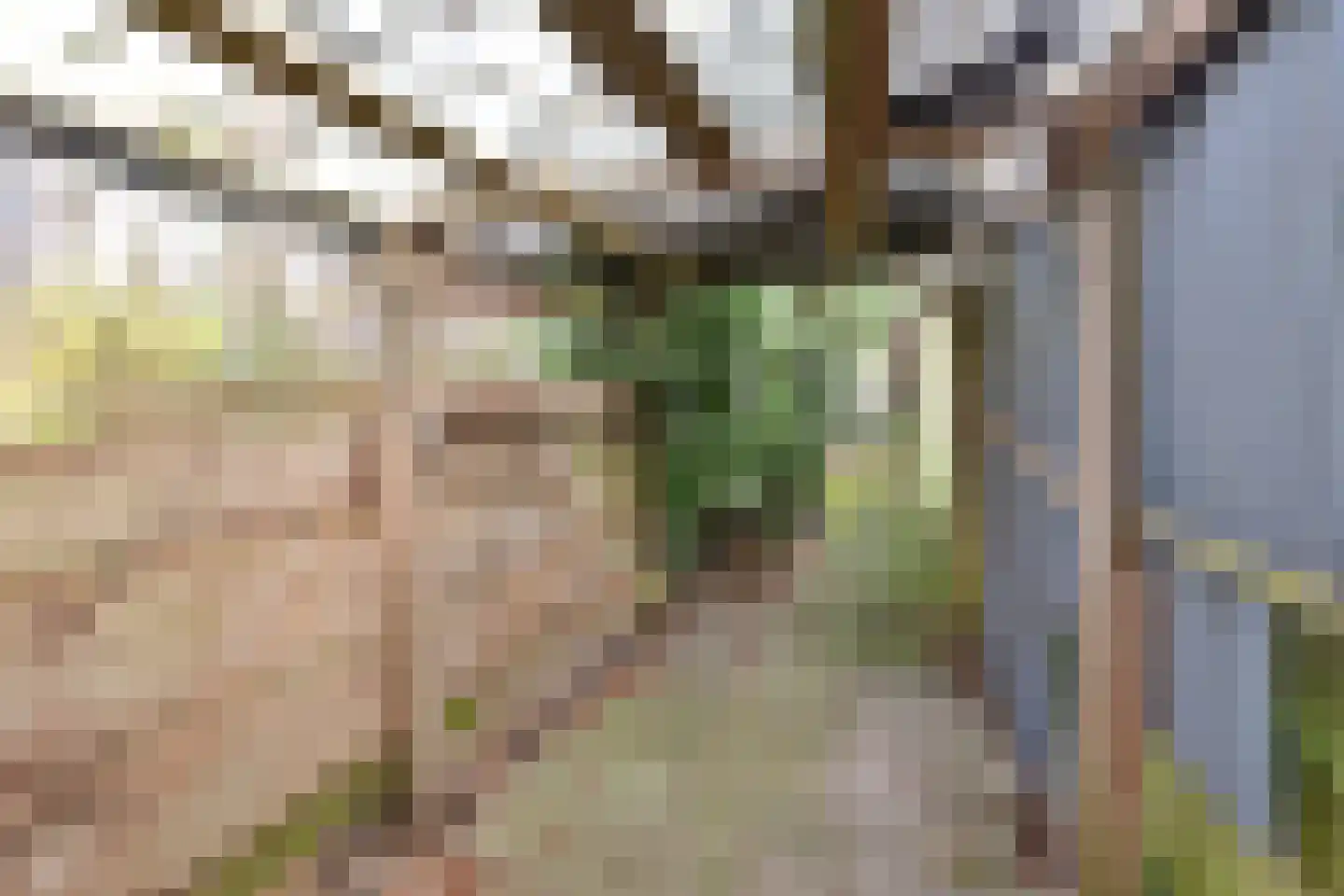Hooftlaan 31 Bussum thumbnail 16