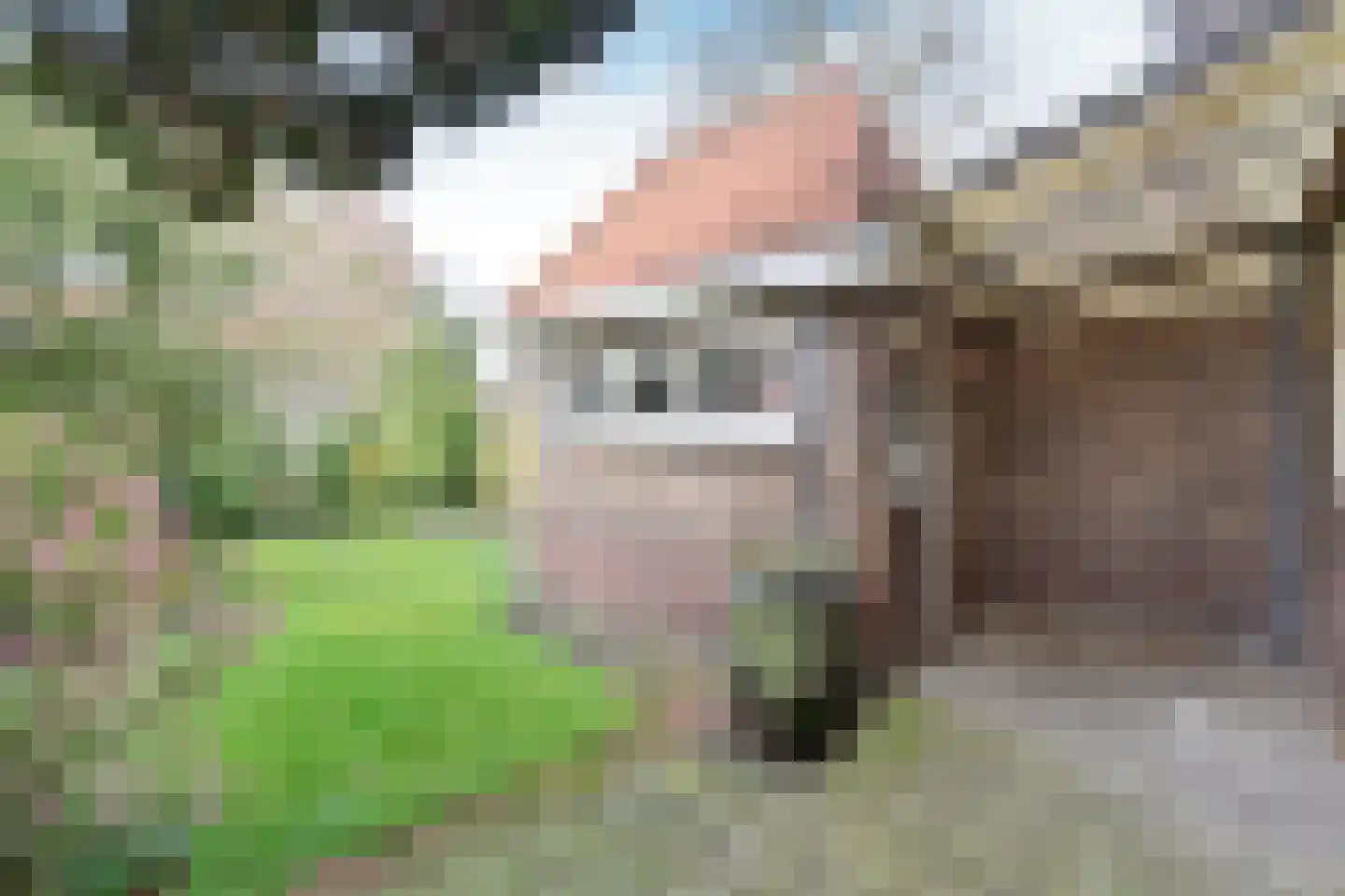 Hooftlaan 31 Bussum thumbnail 6