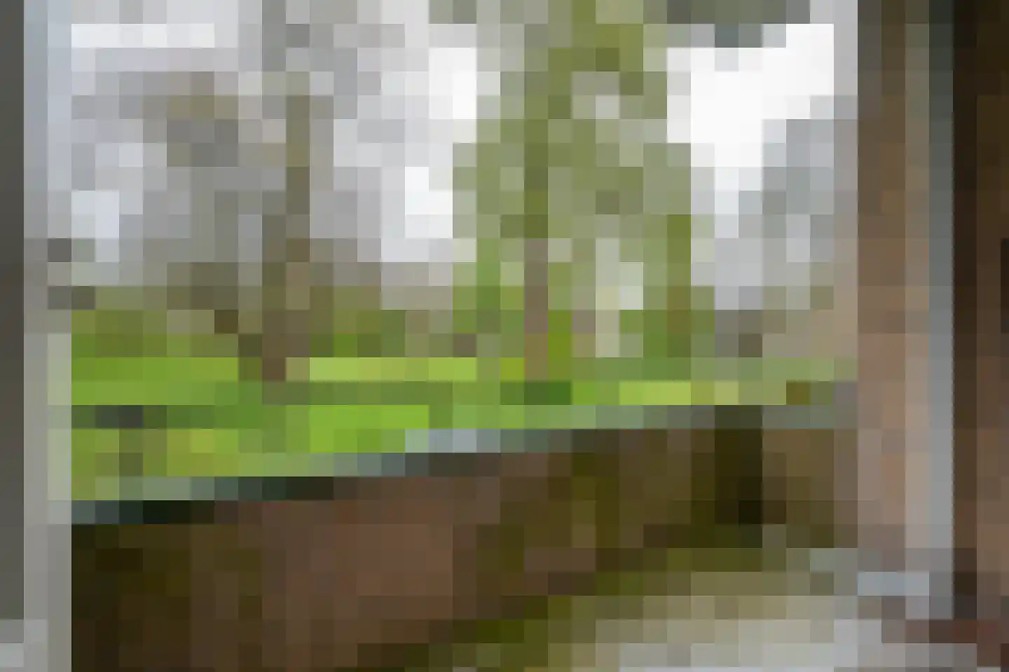 Hooftlaan 57 Haren Gn thumbnail 30