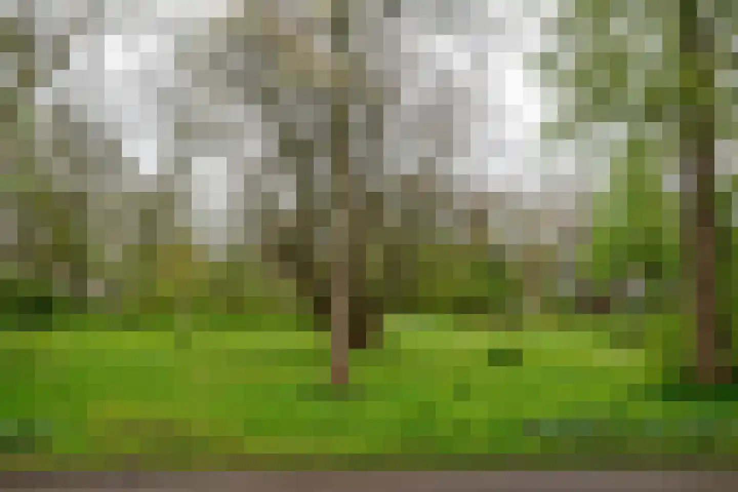 Hooftlaan 57 Haren Gn thumbnail 4