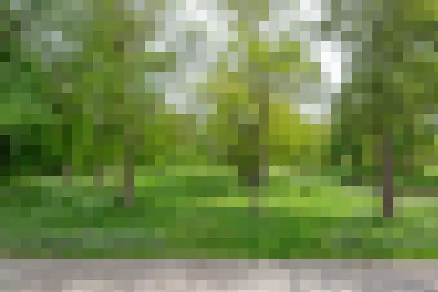 Hooftlaan 59 Haren Gn thumbnail 32