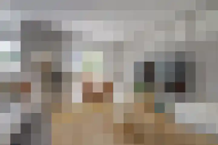 Hooftlaantje 102 Hendrik-Ido-Ambacht thumbnail 10