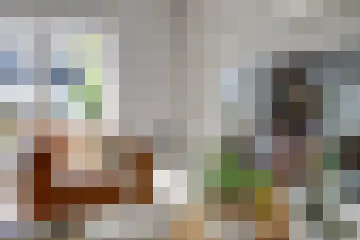 Hooftlaantje 102 Hendrik-Ido-Ambacht thumbnail 11