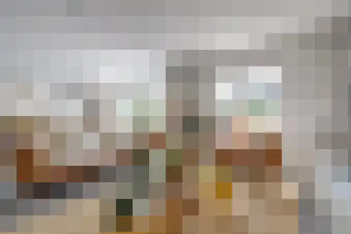 Hooftlaantje 102 Hendrik-Ido-Ambacht thumbnail 12