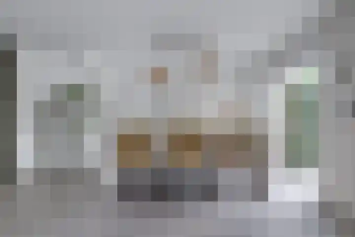 Hooftlaantje 102 Hendrik-Ido-Ambacht thumbnail 13