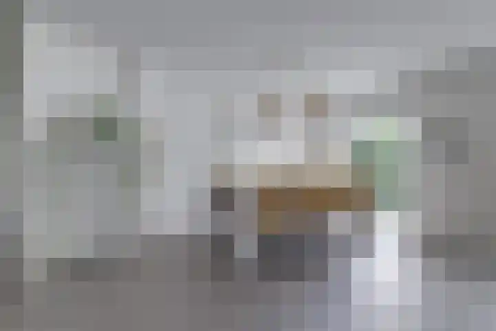 Hooftlaantje 102 Hendrik-Ido-Ambacht thumbnail 14