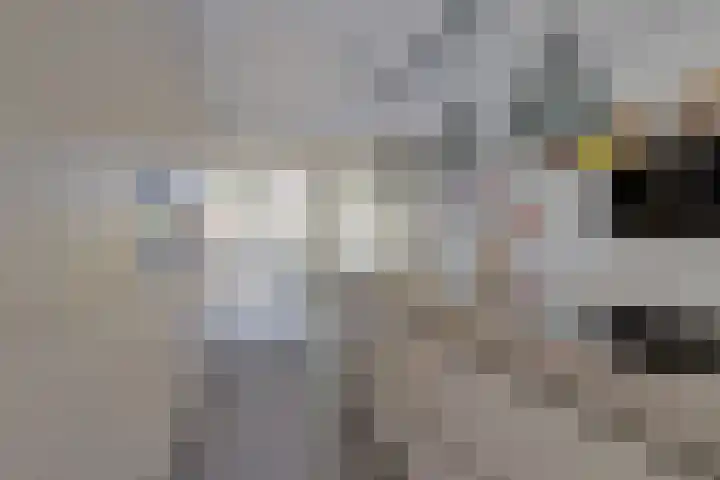 Hooftlaantje 102 Hendrik-Ido-Ambacht thumbnail 17