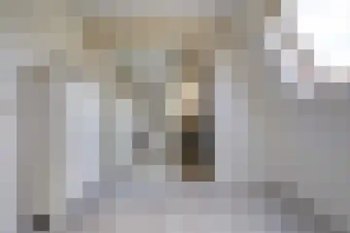 Hooftlaantje 102 Hendrik-Ido-Ambacht thumbnail 27