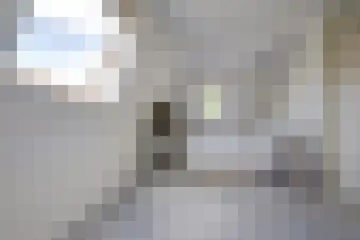 Hooftlaantje 102 Hendrik-Ido-Ambacht thumbnail 30