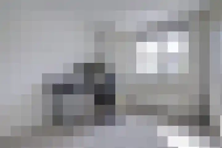 Hooftlaantje 102 Hendrik-Ido-Ambacht thumbnail 31