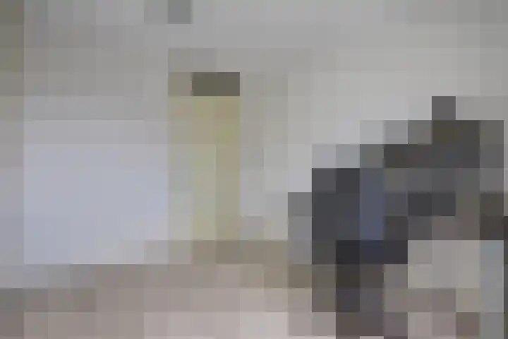 Hooftlaantje 102 Hendrik-Ido-Ambacht thumbnail 32