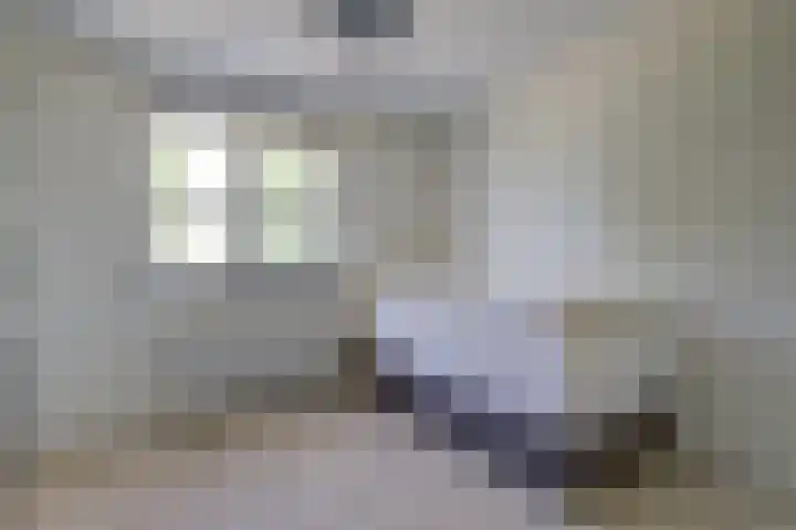 Hooftlaantje 102 Hendrik-Ido-Ambacht thumbnail 33
