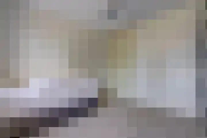 Hooftlaantje 102 Hendrik-Ido-Ambacht thumbnail 34