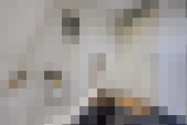 Hooftlaantje 102 Hendrik-Ido-Ambacht thumbnail 37