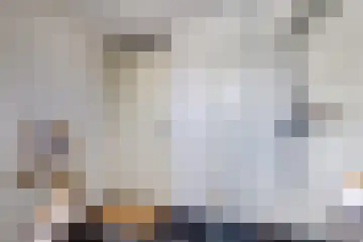 Hooftlaantje 102 Hendrik-Ido-Ambacht thumbnail 38