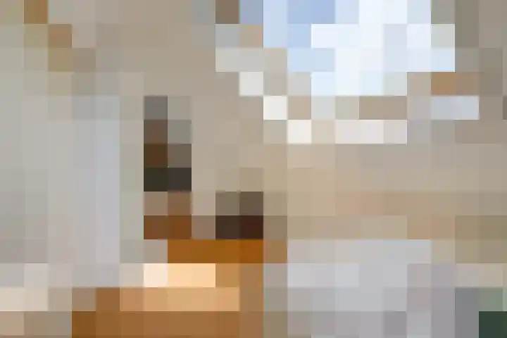Hooftlaantje 102 Hendrik-Ido-Ambacht thumbnail 42