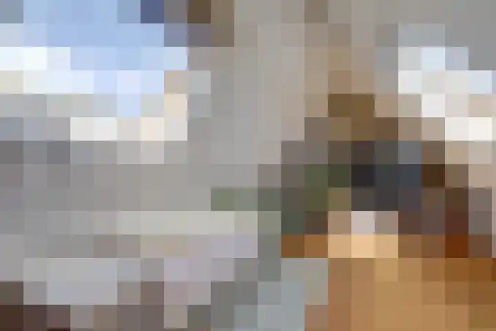 Hooftlaantje 102 Hendrik-Ido-Ambacht thumbnail 43