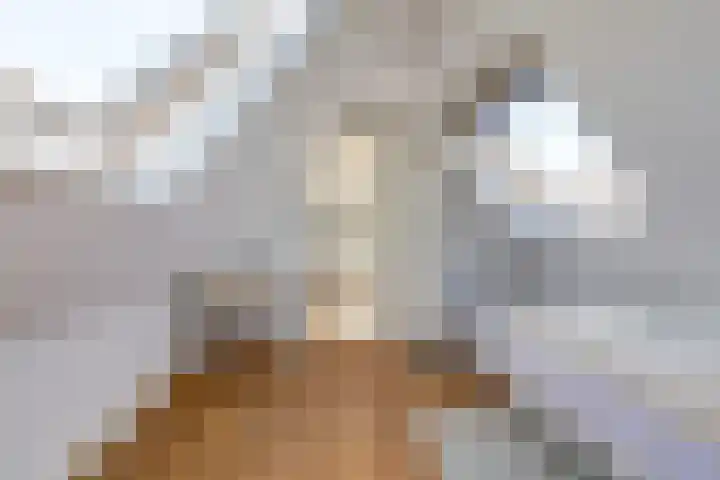 Hooftlaantje 102 Hendrik-Ido-Ambacht thumbnail 44