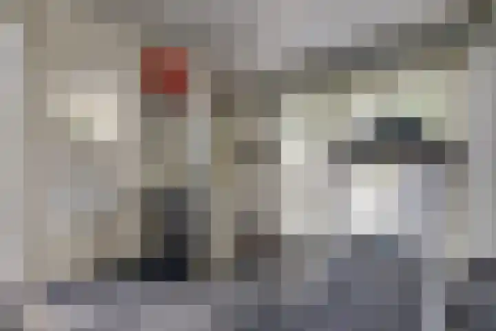 Hooftlaantje 102 Hendrik-Ido-Ambacht thumbnail 45