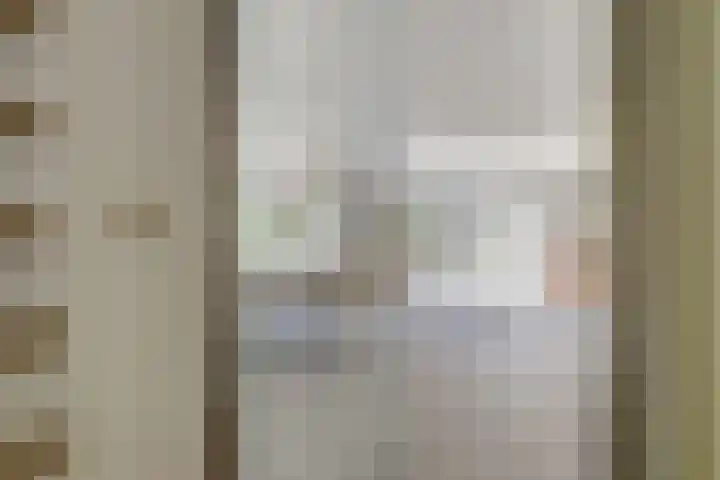 Hooftlaantje 102 Hendrik-Ido-Ambacht thumbnail 5