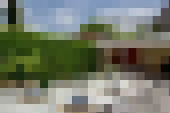 Hooftlaantje 102 Hendrik-Ido-Ambacht thumbnail 56
