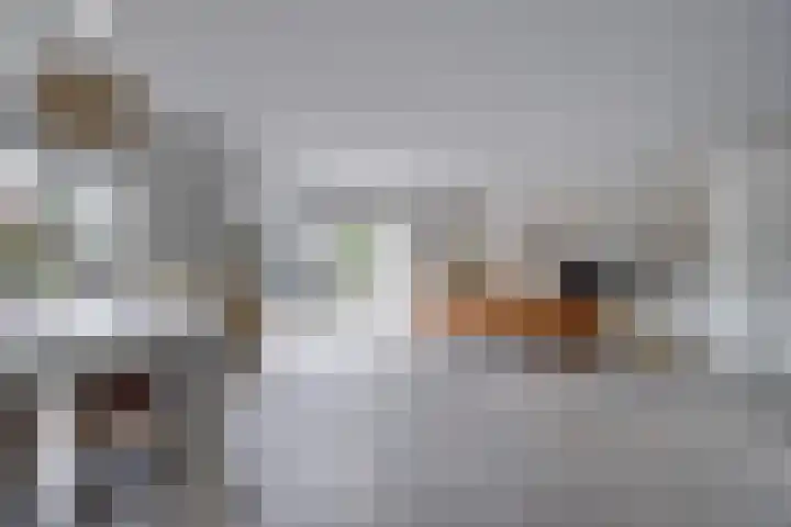 Hooftlaantje 102 Hendrik-Ido-Ambacht thumbnail 6