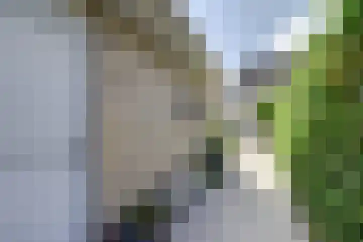 Hooftlaantje 102 Hendrik-Ido-Ambacht thumbnail 61
