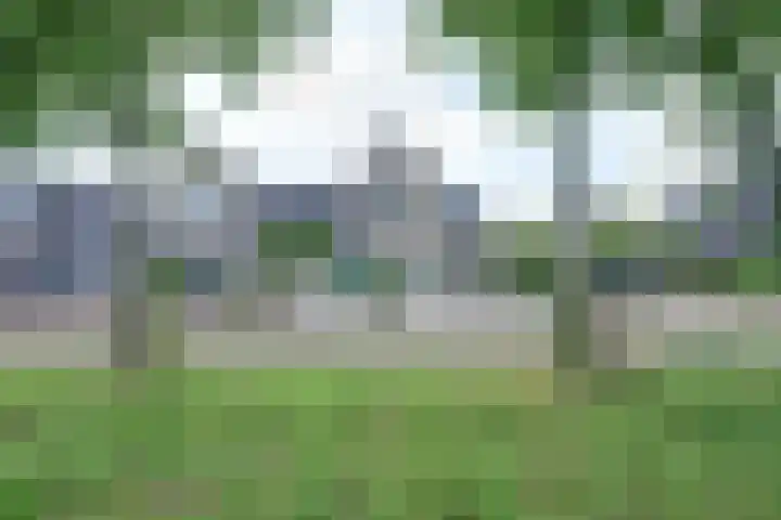 Hooftlaantje 102 Hendrik-Ido-Ambacht thumbnail 64
