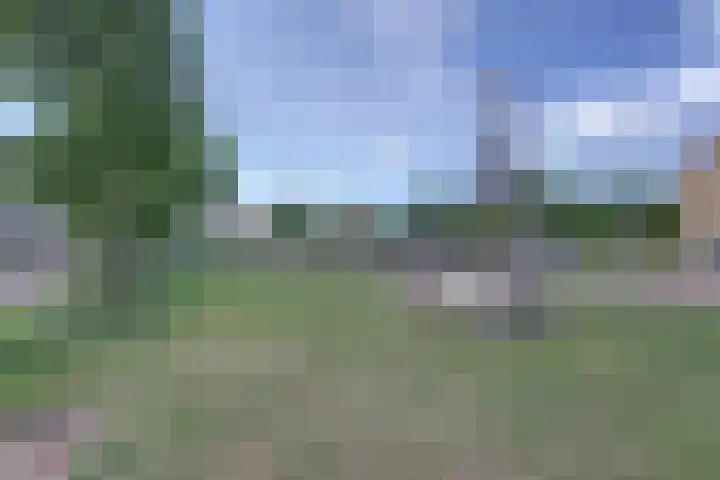 Hooftlaantje 102 Hendrik-Ido-Ambacht thumbnail 65
