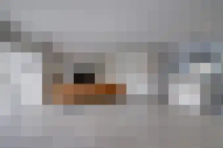 Hooftlaantje 102 Hendrik-Ido-Ambacht thumbnail 7