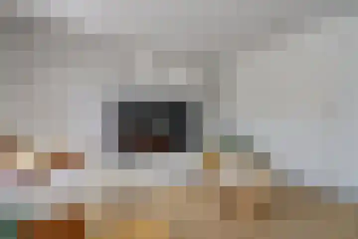 Hooftlaantje 102 Hendrik-Ido-Ambacht thumbnail 9