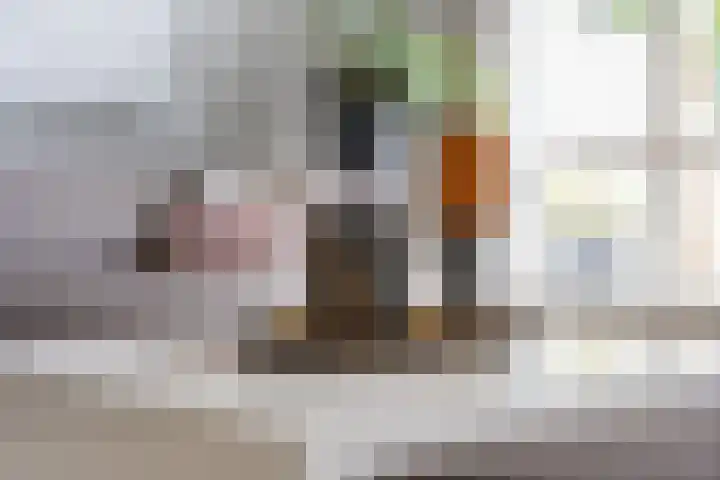 Hooftlaantje 106 Hendrik-Ido-Ambacht thumbnail 11