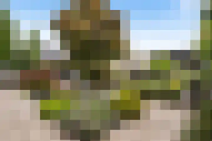 Hooftlaantje 106 Hendrik-Ido-Ambacht thumbnail 17