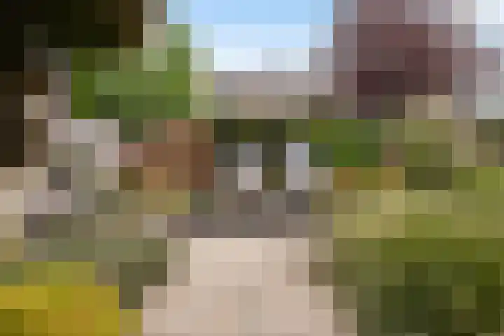 Hooftlaantje 106 Hendrik-Ido-Ambacht thumbnail 19