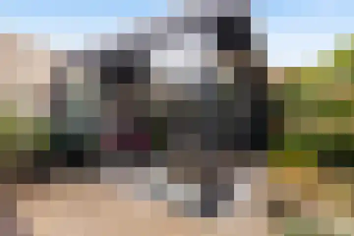 Hooftlaantje 106 Hendrik-Ido-Ambacht thumbnail 22