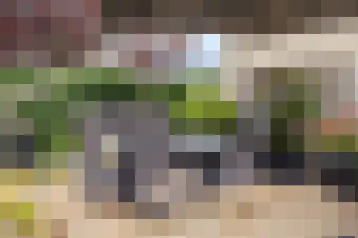 Hooftlaantje 106 Hendrik-Ido-Ambacht thumbnail 25