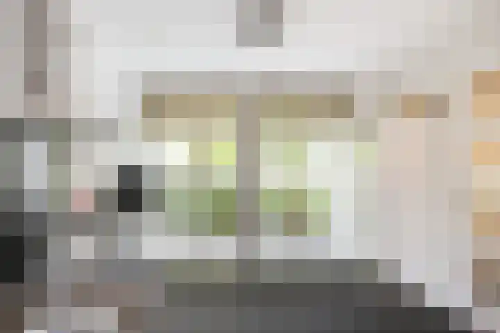 Hooftlaantje 106 Hendrik-Ido-Ambacht thumbnail 33
