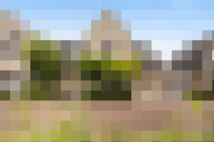 Hooftlaantje 106 Hendrik-Ido-Ambacht thumbnail 4