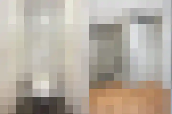 Hooftlaantje 106 Hendrik-Ido-Ambacht thumbnail 41