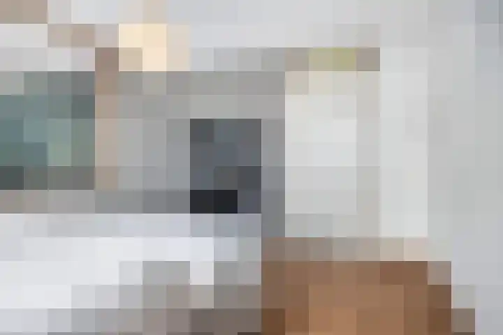 Hooftlaantje 106 Hendrik-Ido-Ambacht thumbnail 43