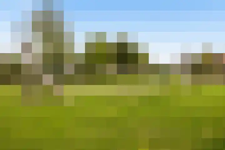Hooftlaantje 106 Hendrik-Ido-Ambacht thumbnail 56