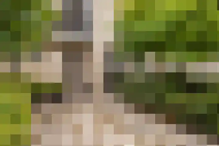 Hooftlaantje 106 Hendrik-Ido-Ambacht thumbnail 6